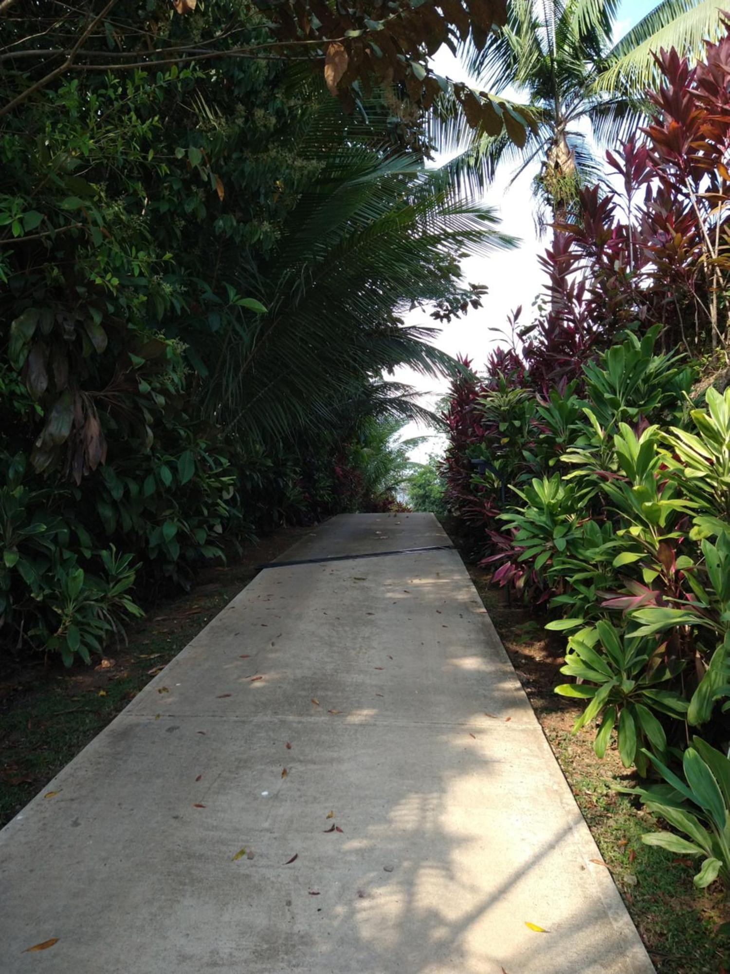 Villa Casas Buenas Brisas Ojochal Esterno foto