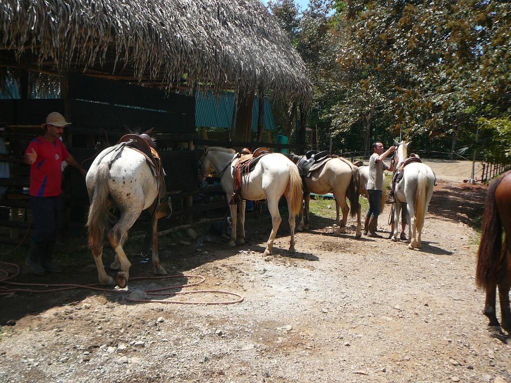Villa Casas Buenas Brisas Ojochal Camera foto