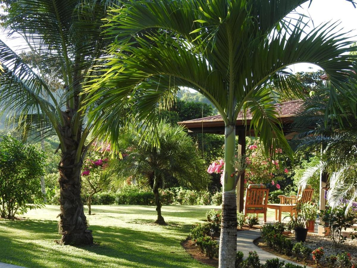 Villa Casas Buenas Brisas Ojochal Esterno foto